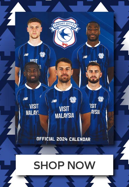The 7 Cardiff City players who are currently set to leave in 2024