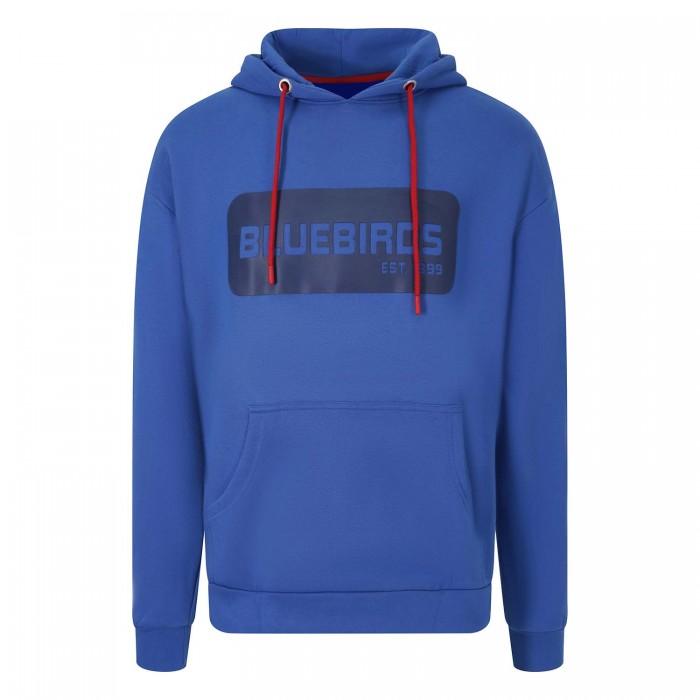 ARTETAN HOODIE