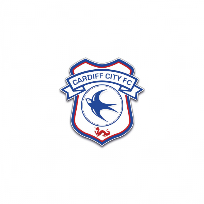 CREST PIN BADGE 24